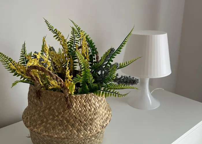 Costa Marina Fabuloso En La Costa Appartamento *